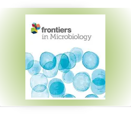 Exploring the bacterial diversity and its antibiotic resistance in Kabru Glacier ice cores, Sikkim .